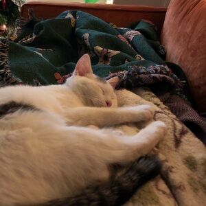 Meet your Posher, Julia